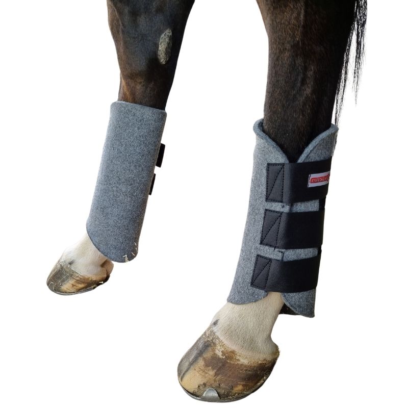 Paddock Boots Solo